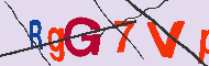 キャプチャ(CAPTCHA)認証コード