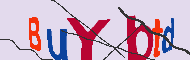 キャプチャ(CAPTCHA)認証コード